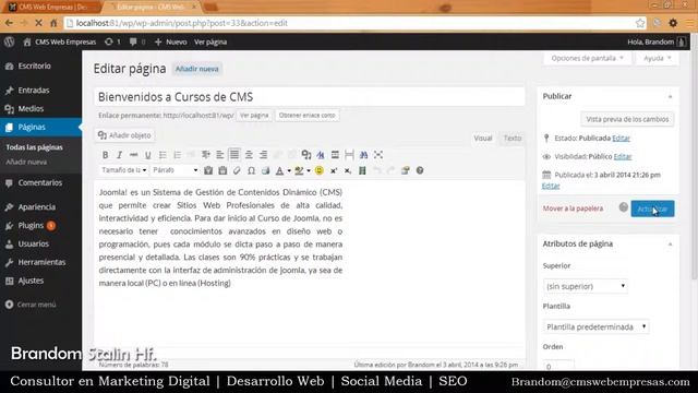 34. Creación de Sub Menú en WordPress смотреть онлайн
