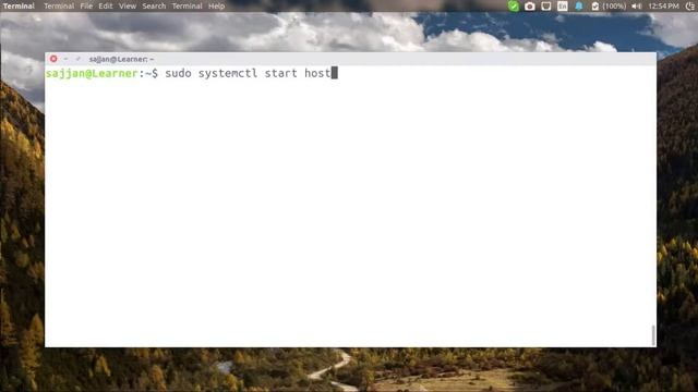 HostAPd Setup Video смотреть онлайн