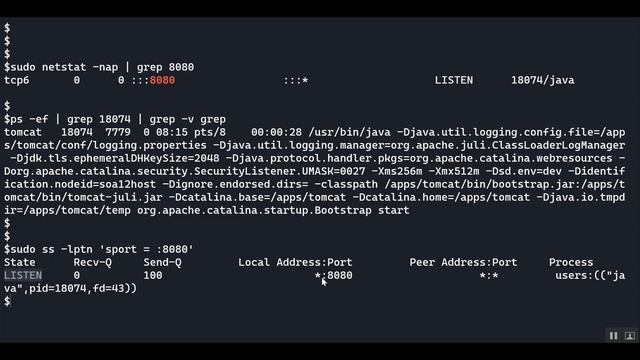 Mastering Linux Troubleshooting: Identify the Process Blocking Your Port #linux #computernetworks смотреть онлайн