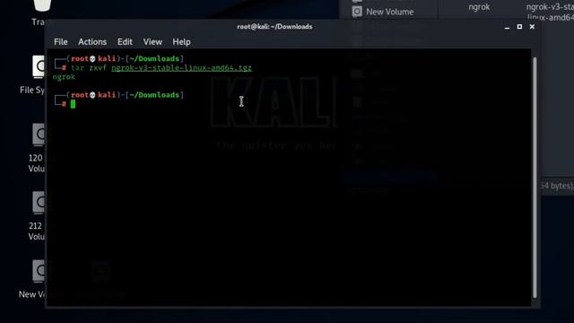 How To Install and configure ngrok in Kali Linux | Ngrok tunnel in Kali Linux смотреть онлайн