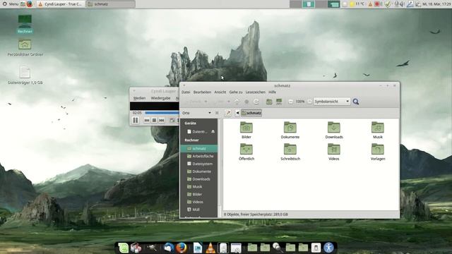 Linux Mint 17.1-Compiz Settings Manager смотреть онлайн