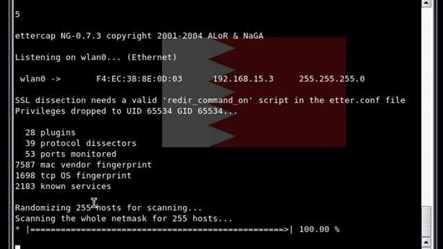 spoofing DNS -spoof all websites смотреть онлайн