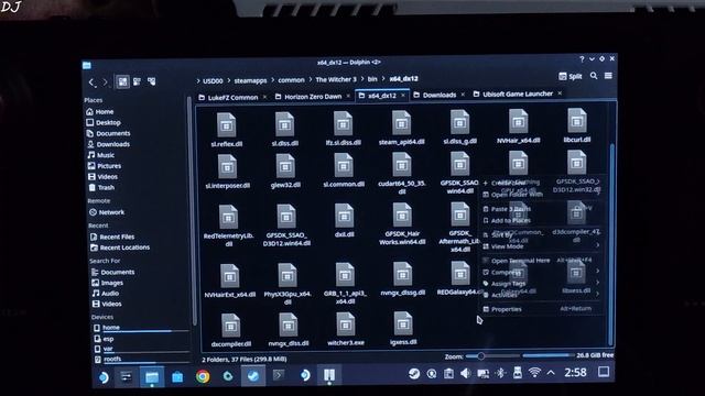 Steam Deck The Witcher 3 LukeFZ FSR Frame Generation Mod Setup & Performance Analysis | Steam OS
