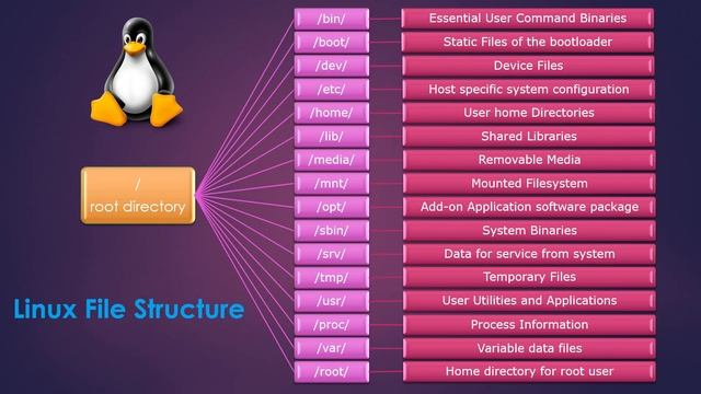 Linux File structure #linux #techiezero смотреть онлайн