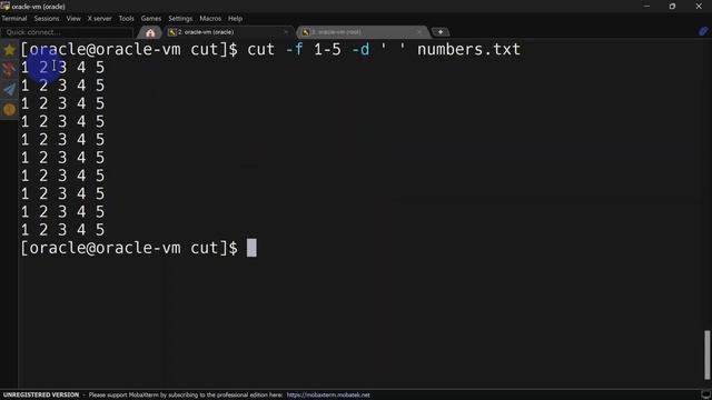 Learn to Cut: Linux Command Line Basics 🌟💼 #cut #linux смотреть онлайн
