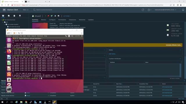 VMware NSX-T 3.1 - 018 - NSX-T VLAN Backed Segments смотреть онлайн
