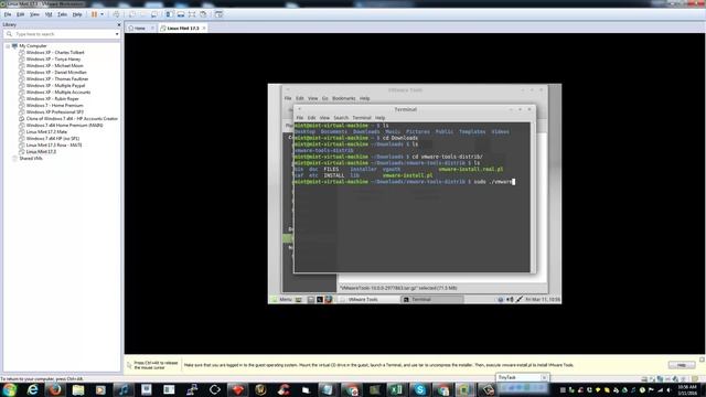 Linux Mint Fullscreen Fix on VMware Workstation смотреть онлайн