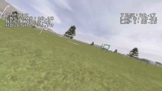 Flow State Practice (MultiGP Qualifier 2019) смотреть онлайн