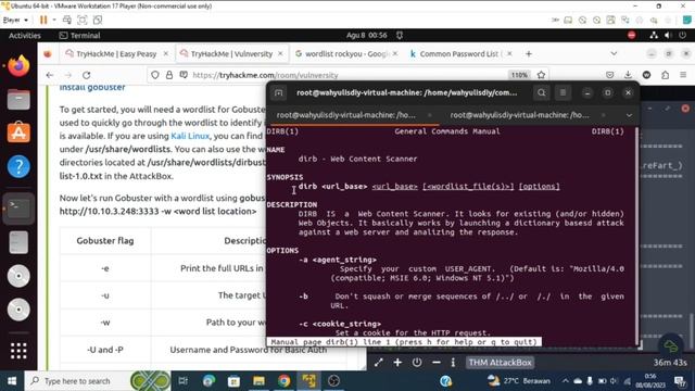 Tutorial Gobuster dan Dirb: Cara Menemukan Directory Tersembunyi pada Website | Directory Listing смотреть онлайн