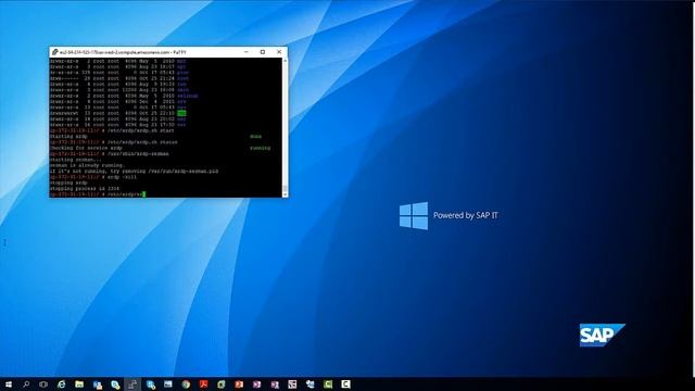 SAP Business One for SAP HANA Administration Enabling RDP on Linux смотреть онлайн