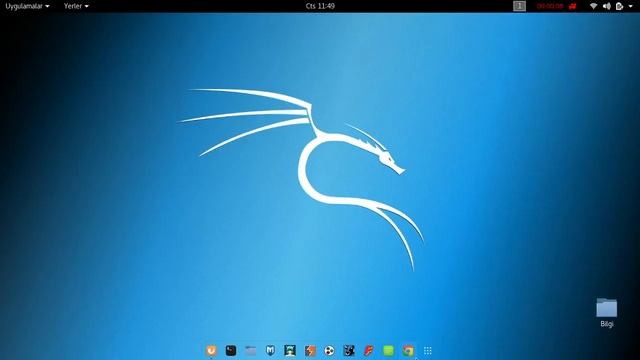 Kali linux google chrome açılmıyor. смотреть онлайн