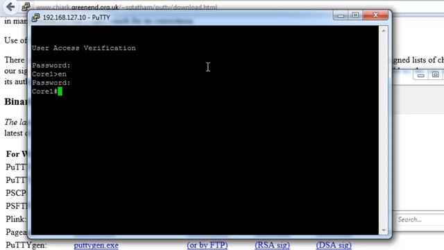 How to setup SPAN ports смотреть онлайн