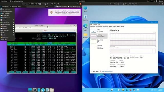 Endeavour OS vs Windows 11: RAM смотреть онлайн