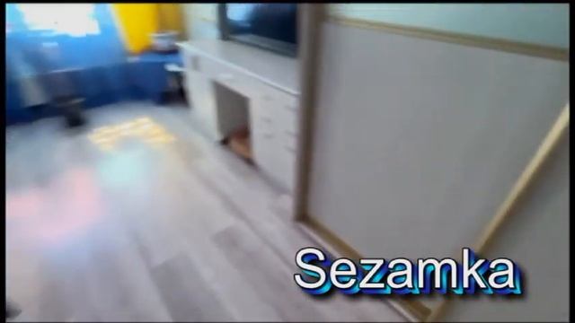 Продажа 2 квартиры по адресу Василенко 14-Г Sezamka-195 смотреть онлайн