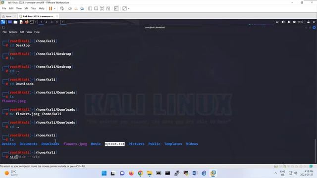Steghide смотреть онлайн