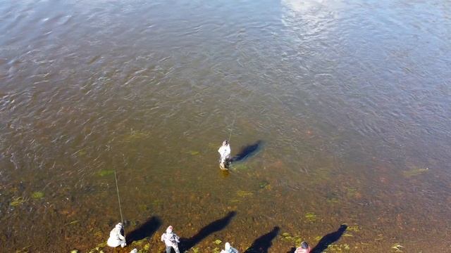 Семинар по евронимфингу ( Euronymphing ) . Нимф-О-Мания 2022. смотреть онлайн