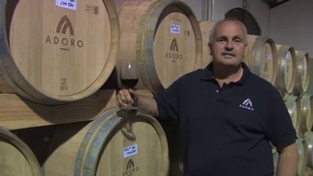 Adoro wines (SWEDISH version) смотреть онлайн