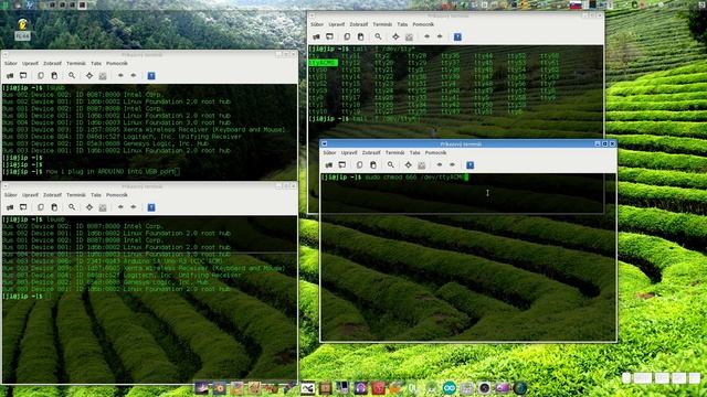 Arduino - Terminal in Linux смотреть онлайн