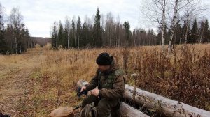 Ходовая охота с Бимом 9.10.2024