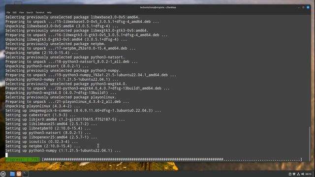 How to Install PlayonLinux on Linux Mint 21.3 Virginia смотреть онлайн