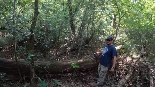 We Never Expected This To Happen At The Creek Property смотреть онлайн