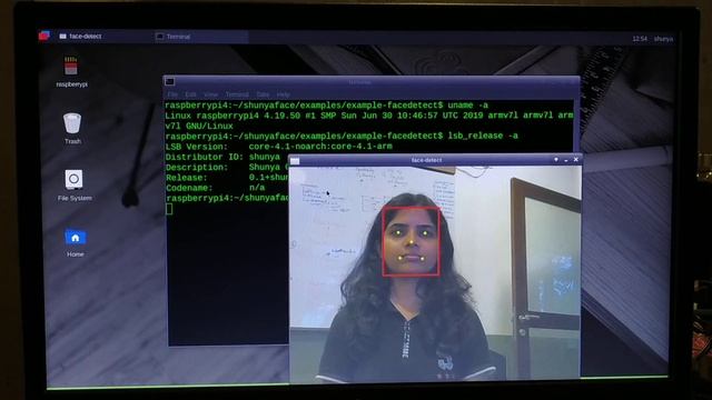 Real time Face-Detection on RaspberryPi-4 смотреть онлайн