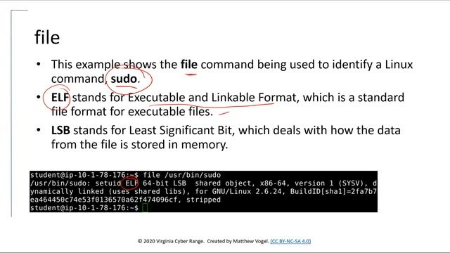 File Information смотреть онлайн