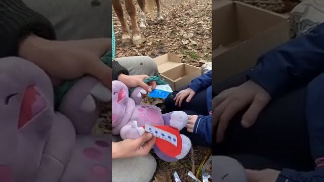 Благодарности пост смотреть онлайн