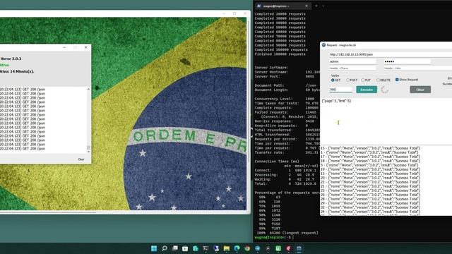486 - Horse VCL e Delphi 11.2 смотреть онлайн