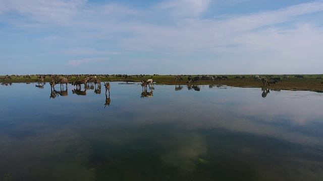 Лето в Республике Коми смотреть онлайн