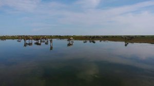 Лето в Республике Коми