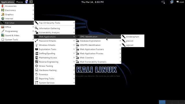 Spoonfeeding Linux - Kali Linux (BackTrack 6) смотреть онлайн