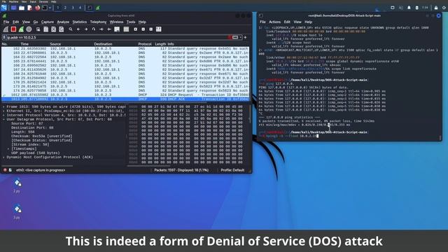 Performing a TCP SYN Flood Attack смотреть онлайн