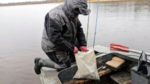 08.10.2024 Шамья