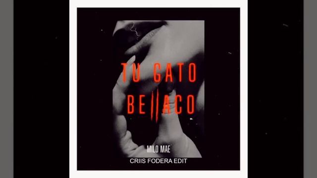Milo Mae - Tu gato bellaco ( Criis Fodera edit) смотреть онлайн