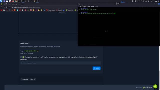 Attacking Web Applications with Ffuf: Parameter Fuzzing - GET смотреть онлайн