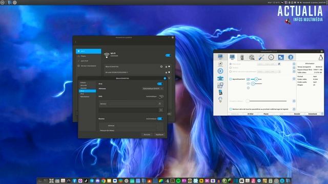 Linux, changer les DNS de Linux Mint Cinnamon смотреть онлайн