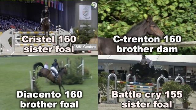 Inter Optimus °2021 I'm special de Muze x Cento Halfbrother of Cristel 160 смотреть онлайн