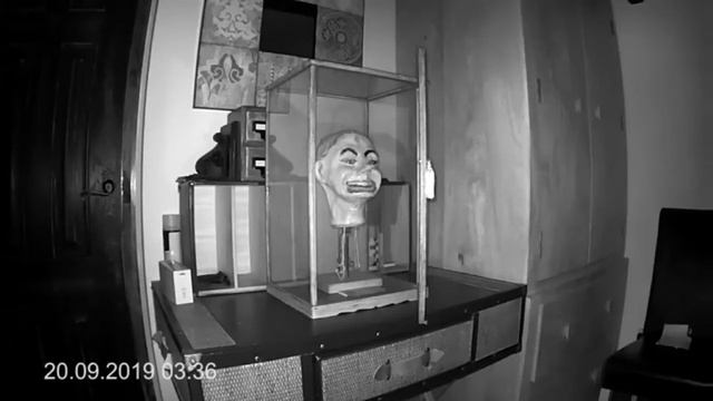 Mr Fritz Danger Doll. смотреть онлайн