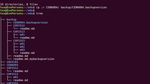 M01T2.6 - Intro to Linux - Copying, Moving and Renaming folders and files смотреть онлайн