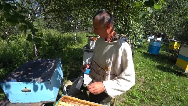 Пчелосемьи Карника в июле. Медосбор 2020 смотреть онлайн