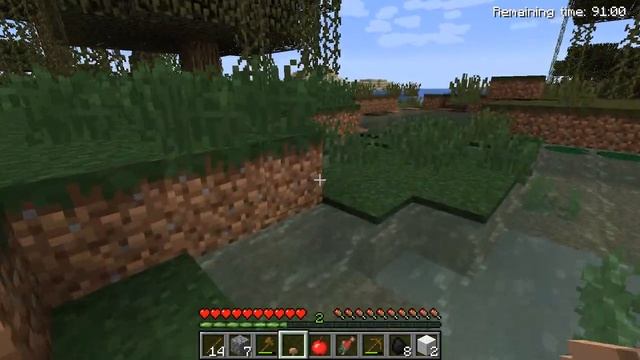 Minecraft - Lutris Linux