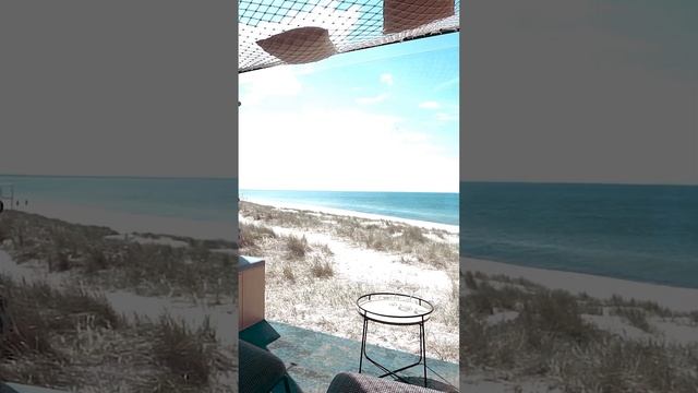 Откуда взялась идея проекта Nordic SPA и A SCAPE. Полное интервью на нашем канале! смотреть онлайн