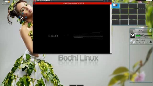 Bodhi Linux telnet towel.blinkenlights.nl смотреть онлайн