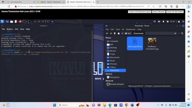 Using Steghide in Kali Linux смотреть онлайн