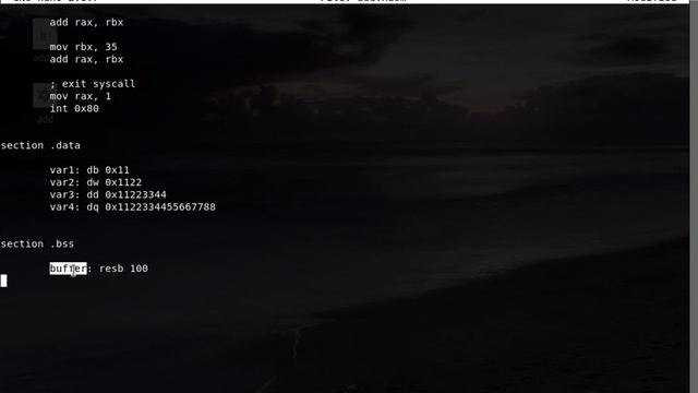 Linux Assembly Language x64 # 5 - Reserving Bytes and the bss Section смотреть онлайн