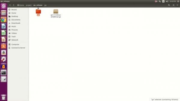 Install and setup Go programming language in Ubuntu Linux