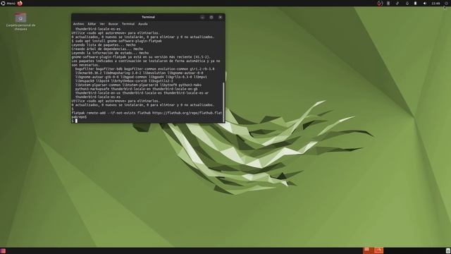 Cómo instalar Flatpak en Ubuntu y derivadas смотреть онлайн