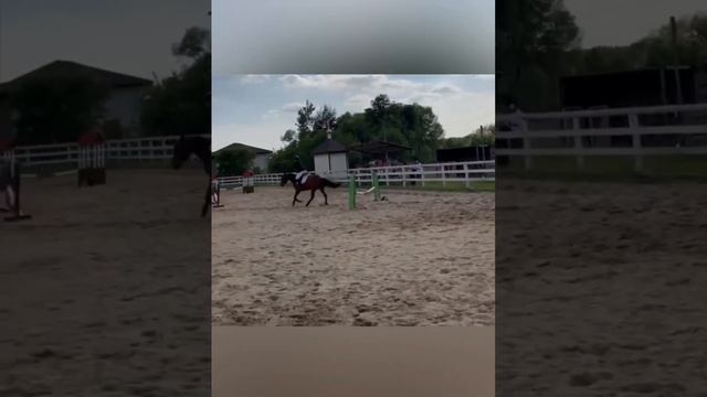 Соревнования 25.06 смотреть онлайн